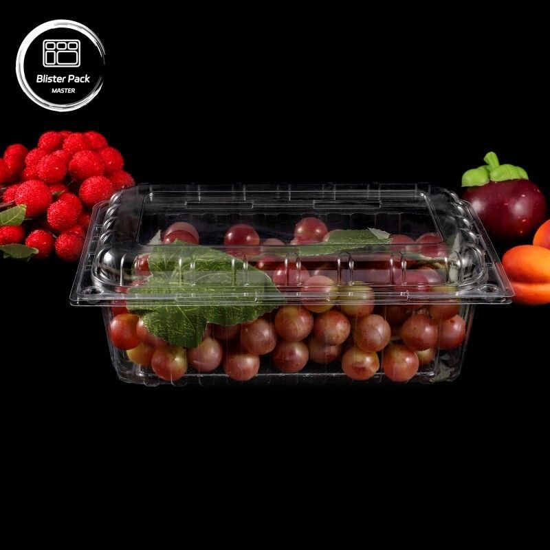 Transparent PET Clamshell Fruit Containers Disposable Plastic Boxes with Lids for Litchi & Grape Packaging