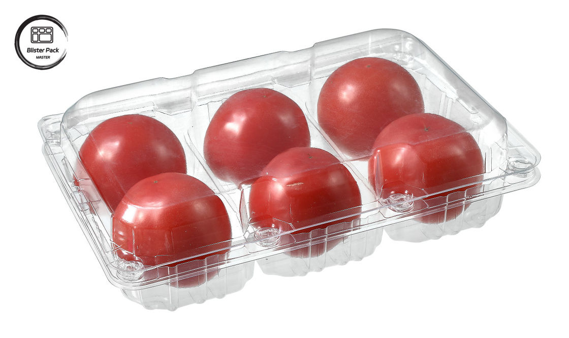 Disposable Blister Tomato Disposable Fruit Container 6 Piece Rectangular Plastic For Packaging