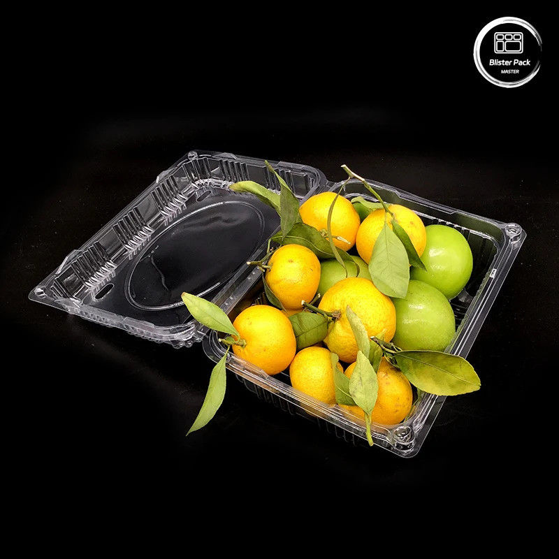 Corrugated Plastic  Fruit And Vegetable Trays Containers  Storage Sturdy Reusable Shipping Boxes