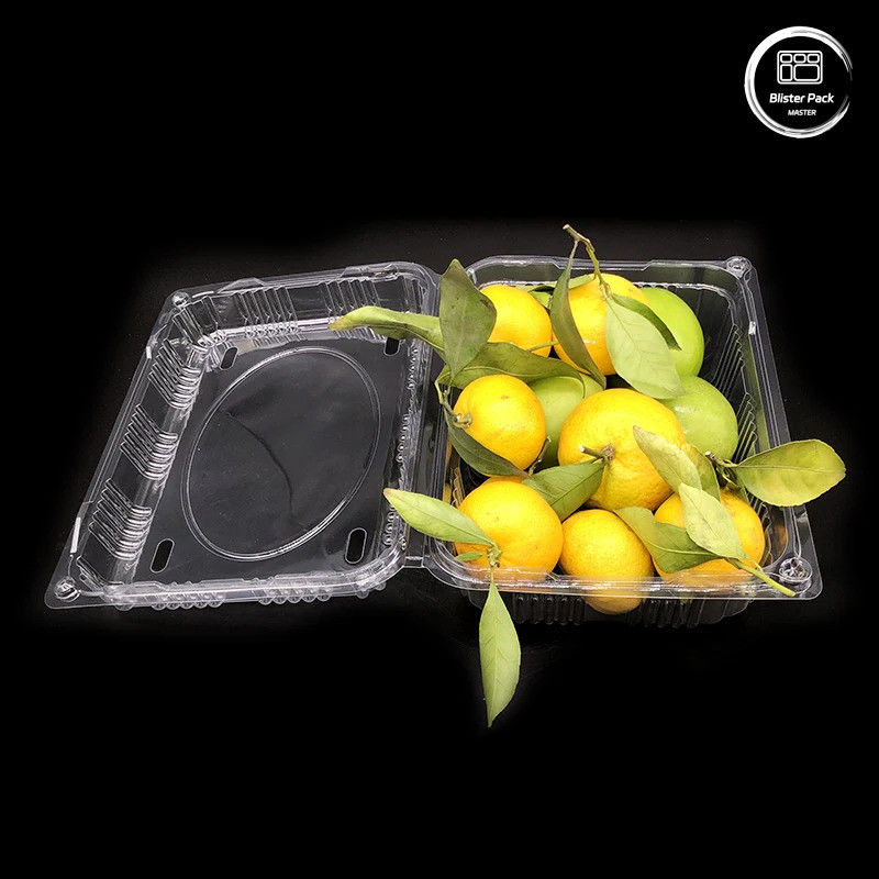 Corrugated Plastic  Fruit And Vegetable Trays Containers  Storage Sturdy Reusable Shipping Boxes