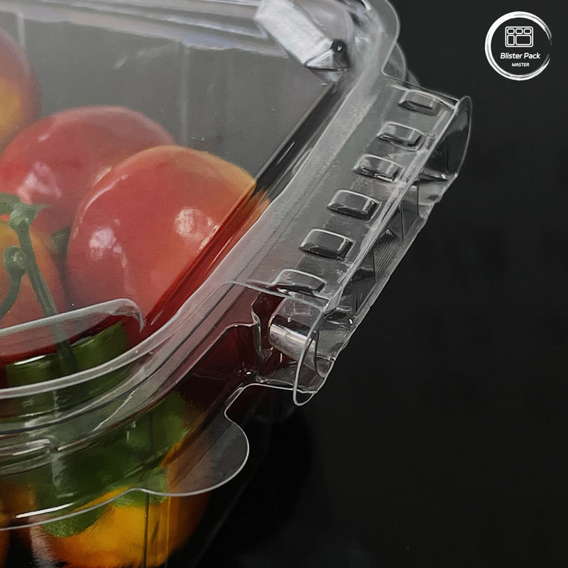 Eco Friendly 16 & 24 Oz Salad Containers with Attached Lids Disposable for Fresh Produce