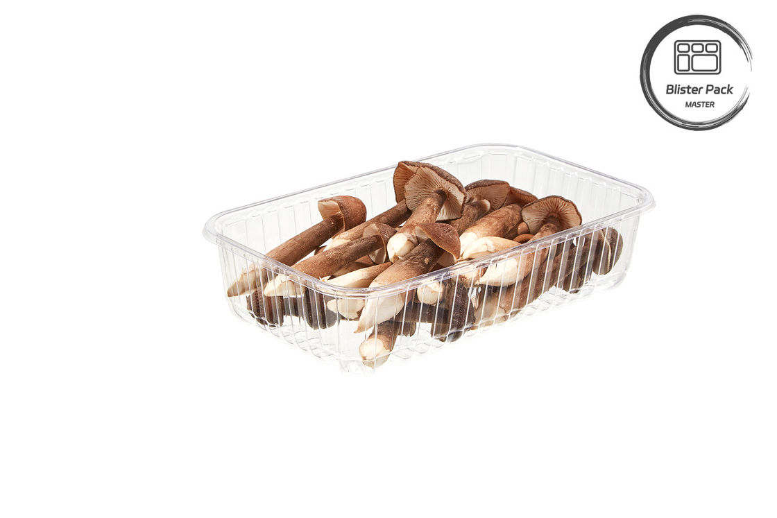 Custom Disposable Plastic Mushroom Punnet Blister Fruit and Vegetable Trays