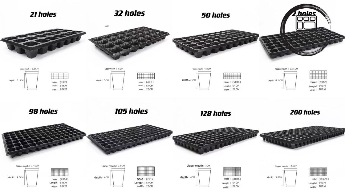 Affordable Multi Cell large plastic seed trays 21 to 120 Cells for Vegetable & Plant Seedlings