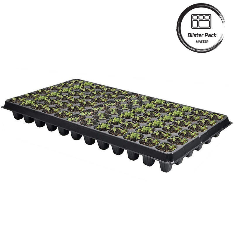 Polystyrene Hand Throwing Rice Seedling Plastic Tray Extra Deep Seeder With Multiple Hole Options (128 To 648 Cells)