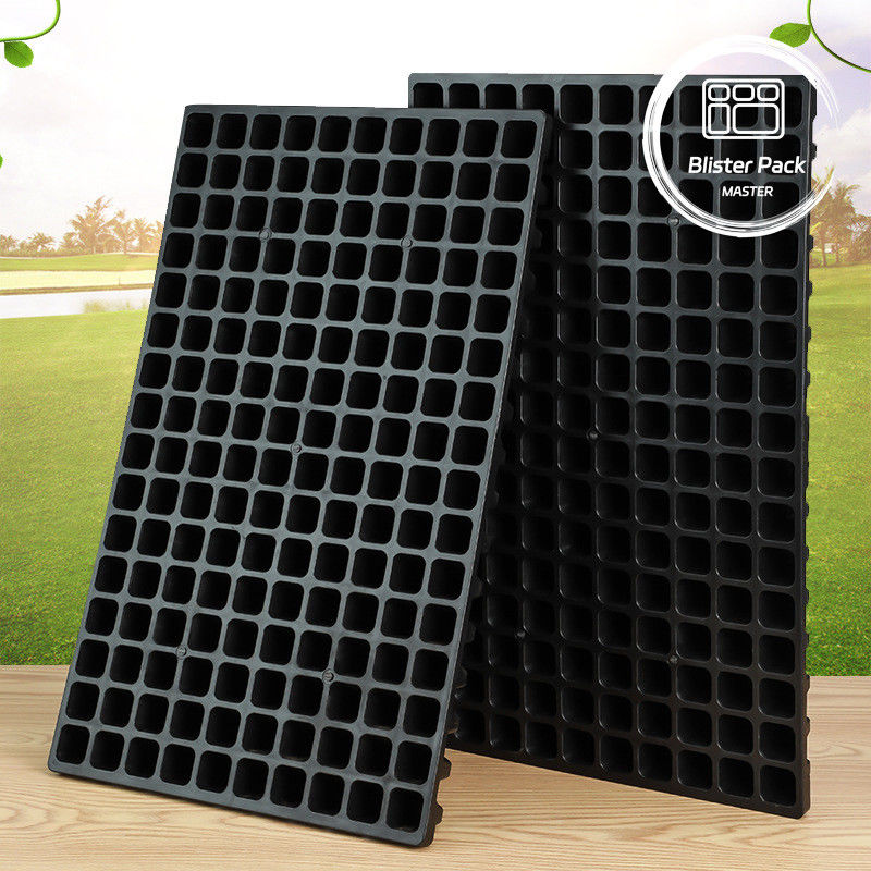 72 Cell Plastic Nursery Trays with Lids Flat Growing for Flowers & Green Plants
