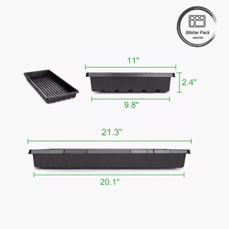 Economical Plastic Seedling Trays For Tomatoes Efficient Germination System For Seed Starters