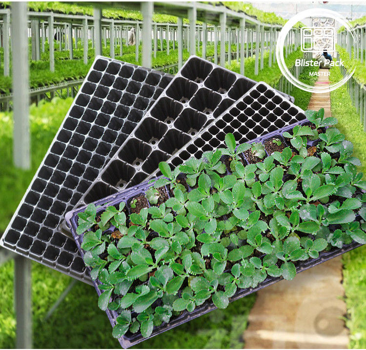 Durable Multi Cell Seed Germination Trays 21 To 128 Cells For Vegetable & Flower