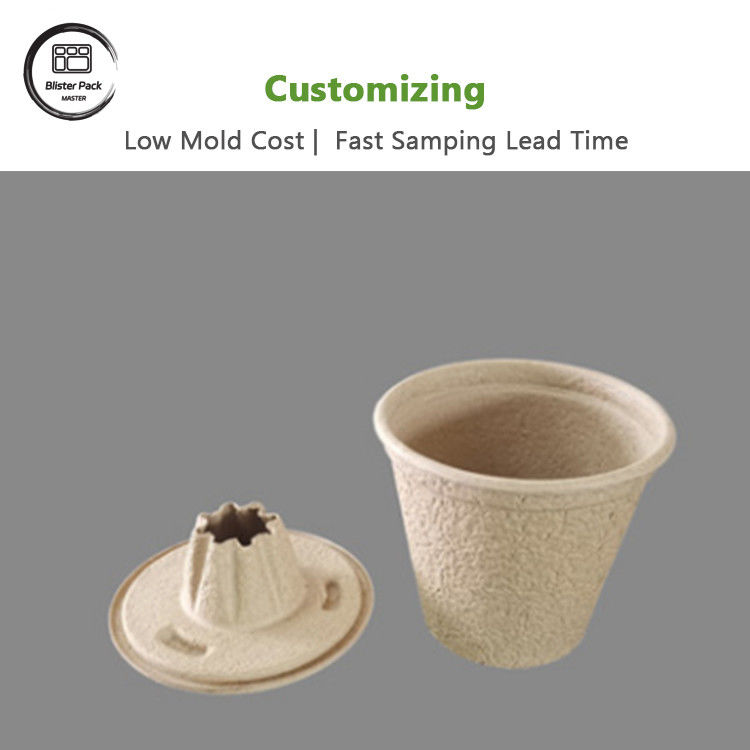 Custom Biodegradable Sugarcane Bagasse 12 Cell Plant Trays Starter Kit For Seed Planting