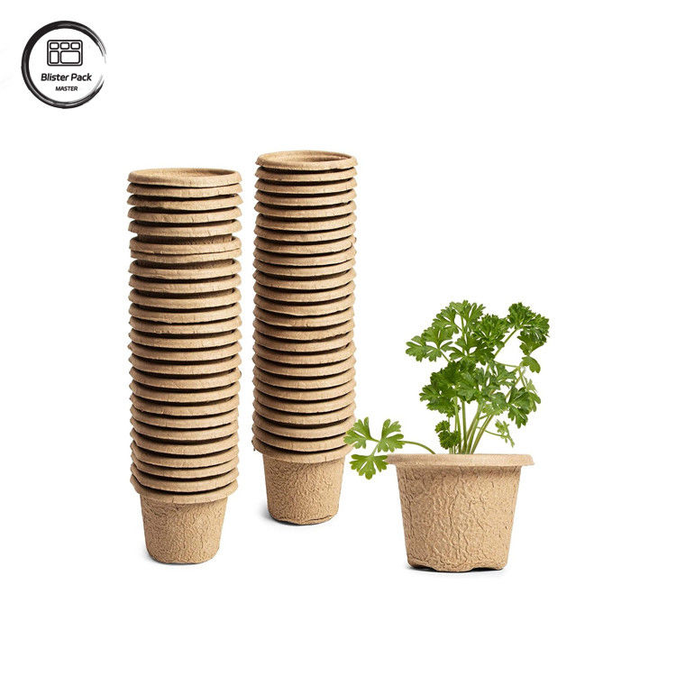 Custom Biodegradable Sugarcane Bagasse 12 Cell Plant Trays Starter Kit For Seed Planting