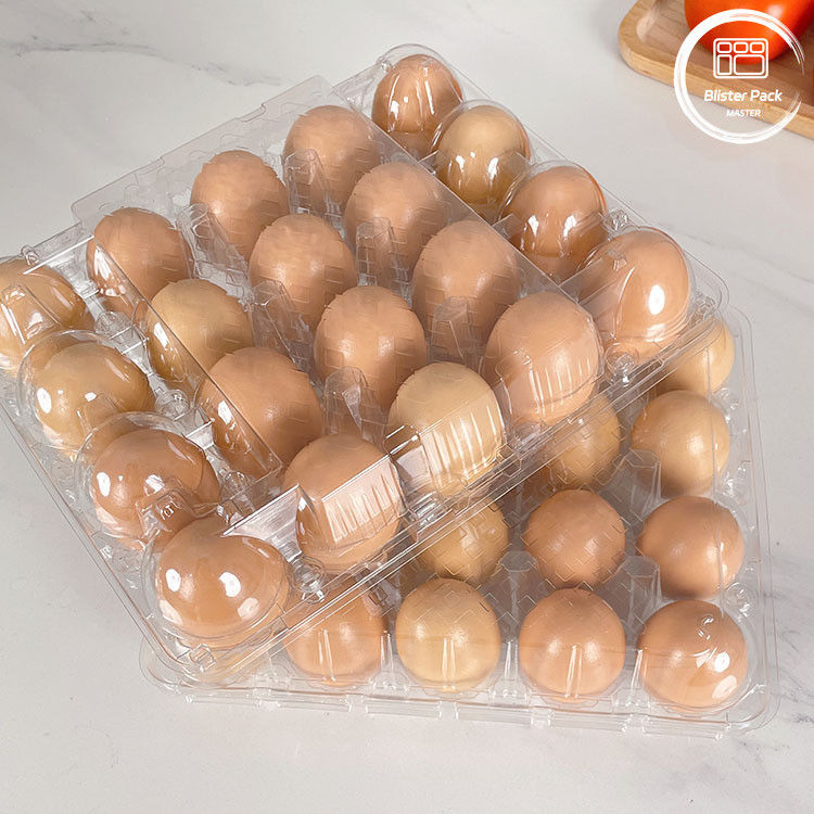30 Hole Plastic Egg Tray Packaging Carton By Manufacturers For Secure Egg Storage