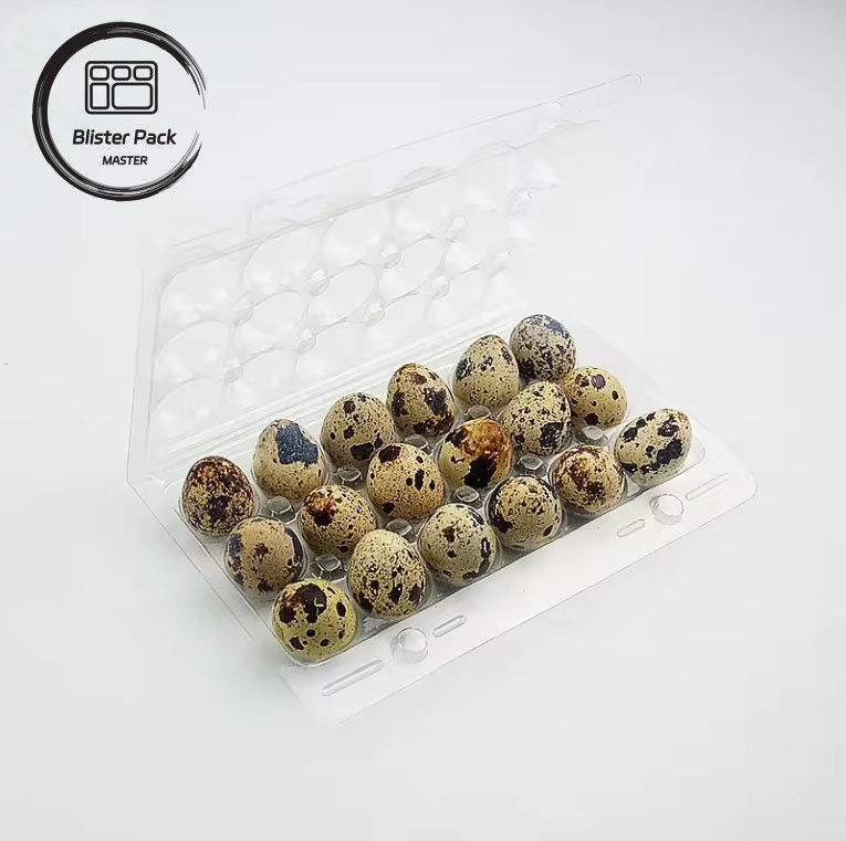 Custom Egg Carton Trays Multiple Sizes (4, 6, 12, 15, 20, 30 Slots) for Efficient Egg Packaging