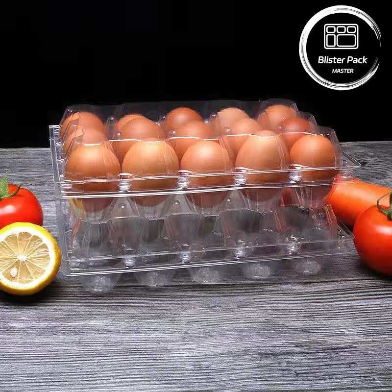 15 Cell Hinged Clamshell Clear Plastic Egg Trays Secure Thermoformed Plastic Shipping Trays