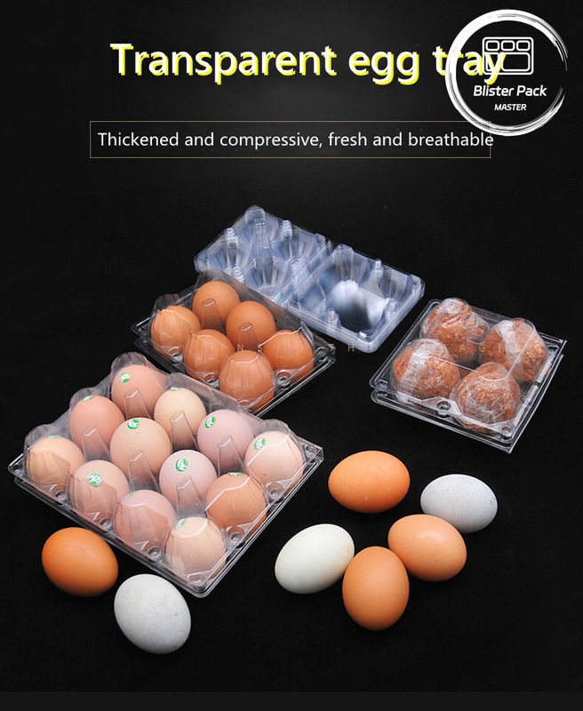 15 Cell Hinged Clamshell Clear Plastic Egg Trays Secure Thermoformed Plastic Shipping Trays