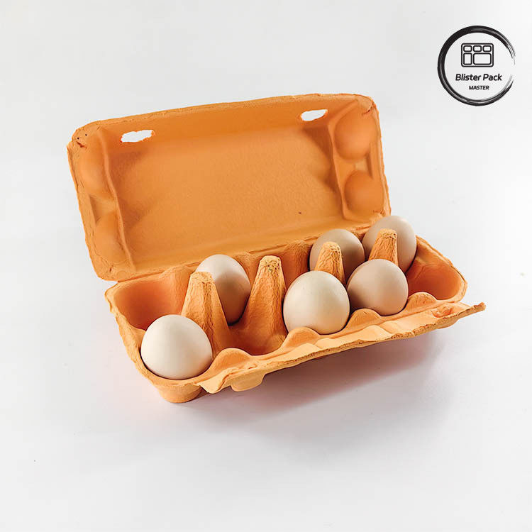 Custom Eco Quail Egg Packaging 12 6 4 Paper Pulp Box Egg Cartons For Chicken Eggs