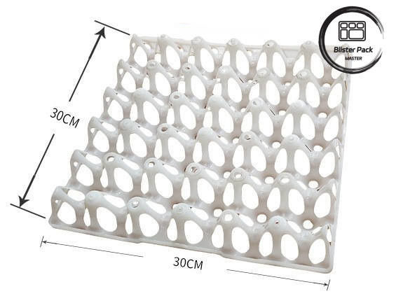 Affordable 30 Cell Plastic Egg Blister Tray Packaging for Chicken Eggs