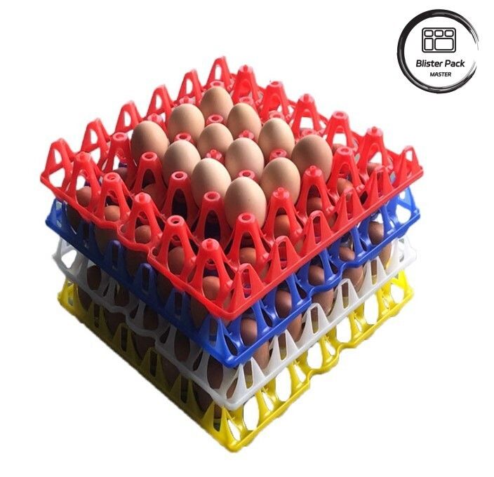 Affordable 30 Cell Plastic Egg Blister Tray Packaging for Chicken Eggs