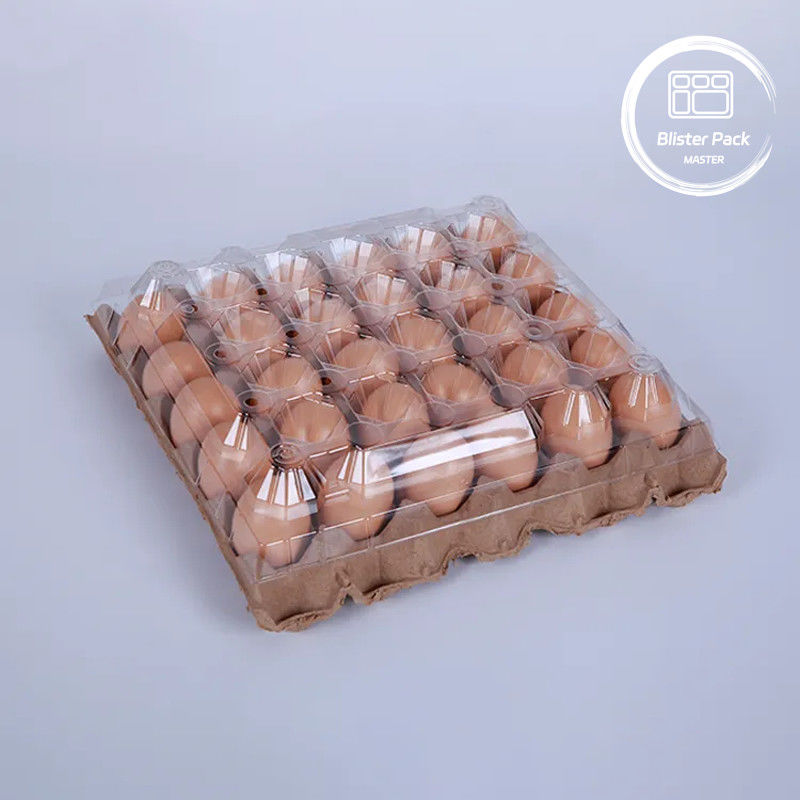 PET Plastic Egg Tray Packaging 30 Hole Cartons In S/M/L Sizes With Paper Bottom