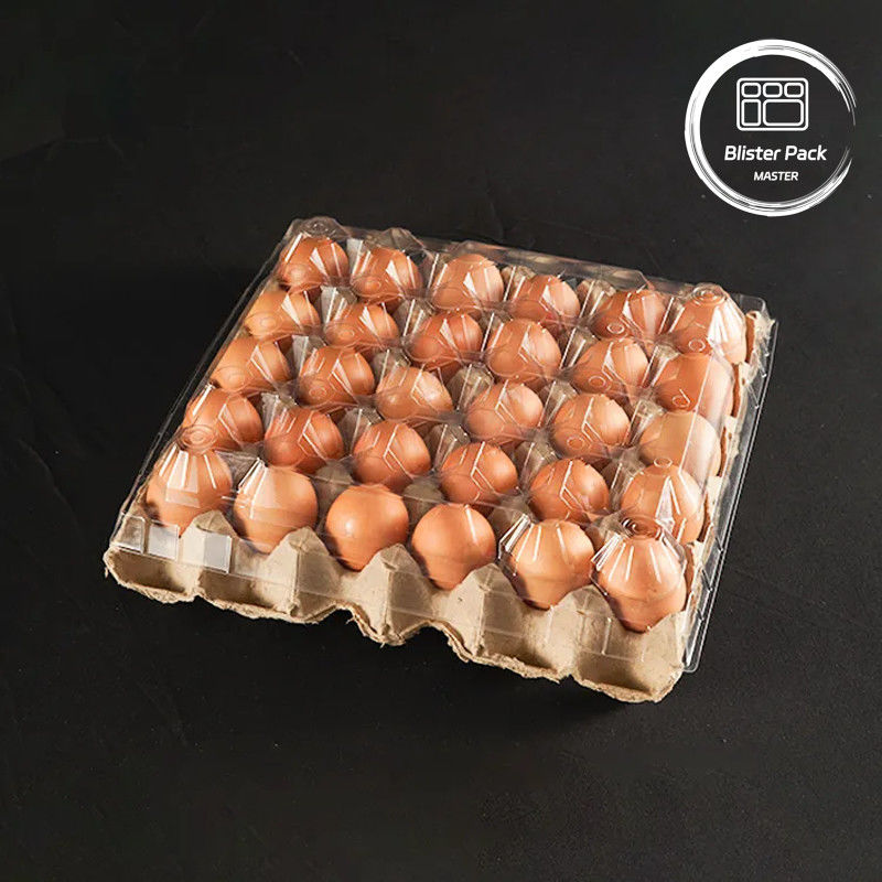 PET Plastic Egg Tray Packaging 30 Hole Cartons In S/M/L Sizes With Paper Bottom