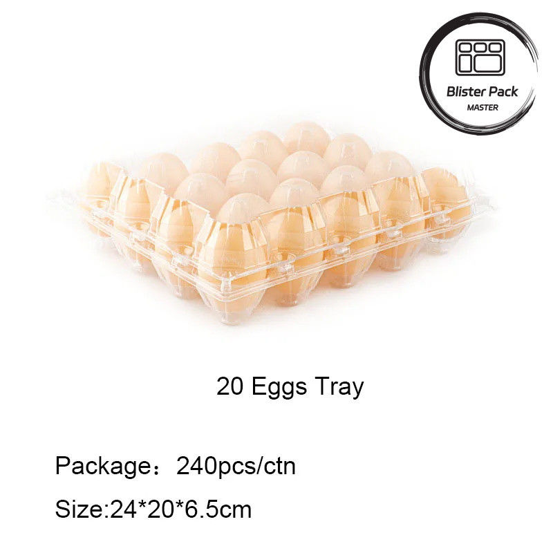 Transparent Plastic Egg Tray 4 To 30 Egg Capacity Blister Box Packaging