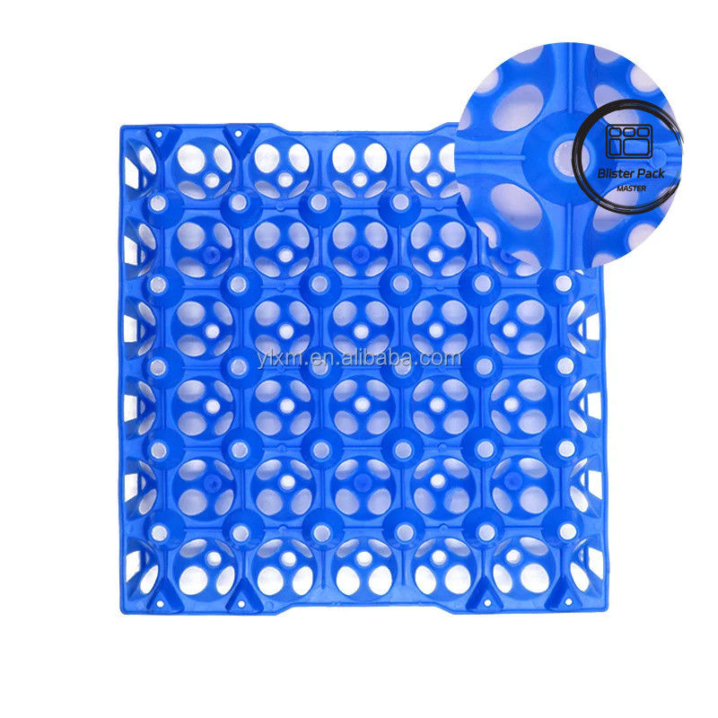 30 Egg Blister Tray Colorful Plastic Crate Durable Thermoformed Plastic Trays For Chicken Farm