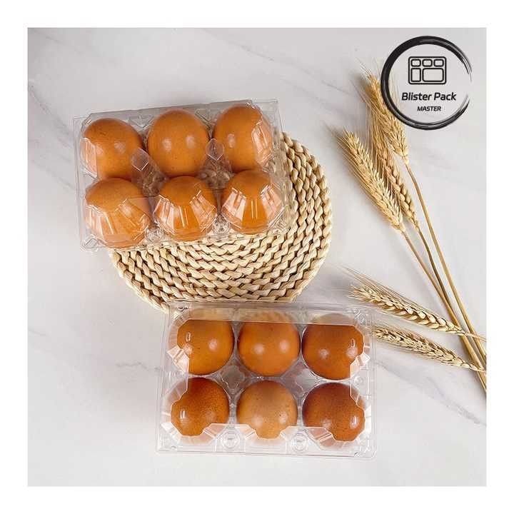 6 Pack Plastic Egg Cartons Durable Egg Packing Boxes for Secure Storage