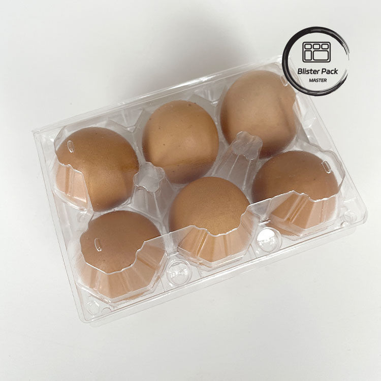 6 Pack Plastic Egg Cartons Durable Egg Packing Boxes for Secure Storage