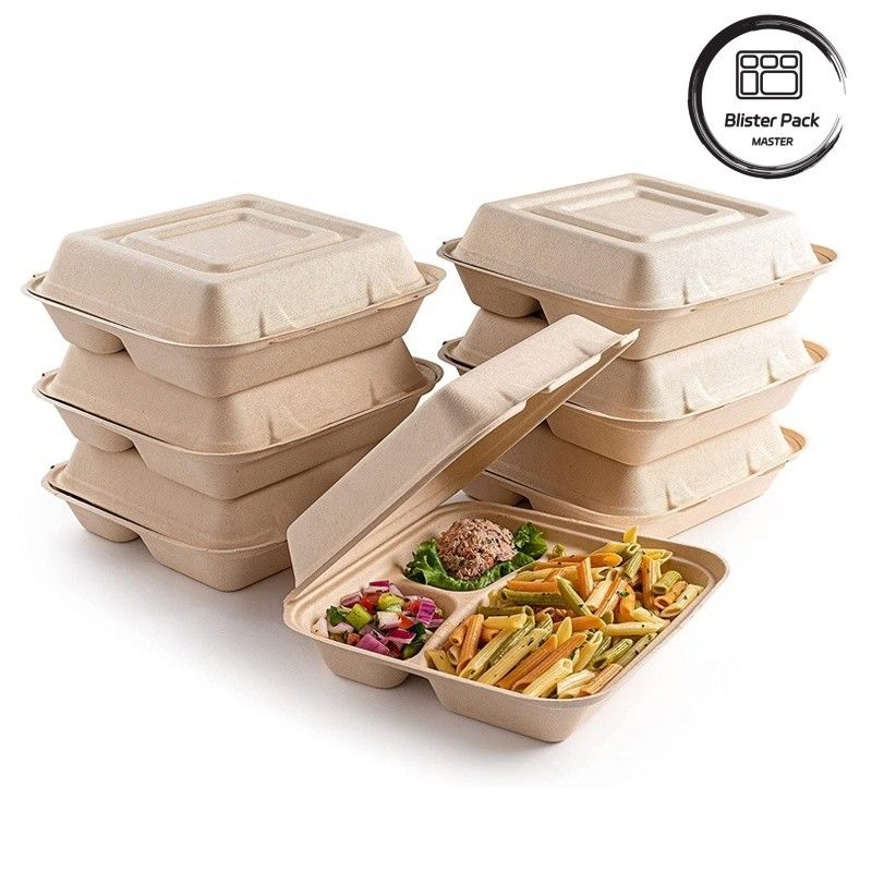 Blister Eco Compostable Clamshell 3 Compartment Disposable Lunch Box Sugarcane Bagasse