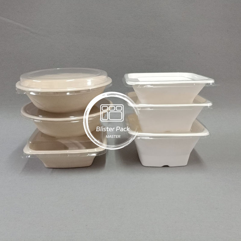PFAS Free Biodegradable Sugarcane Bagasse Bowls Disposable Soup and Salad Bowls 8oz to 32oz