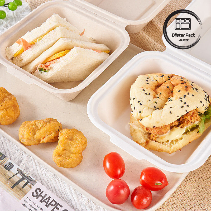 9-Inch Sugarcane Bagasse Clamshell Lunch Box Disposable and Biodegradable Food Container for Burgers and Bakery