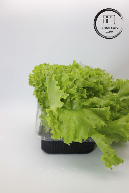 Artificial Garden Vegetables and Fruits Plastic Seedling Trays Perfect for Decoration