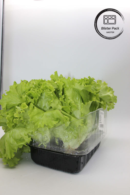 Artificial Garden Vegetables and Fruits Plastic Seedling Trays Perfect for Decoration