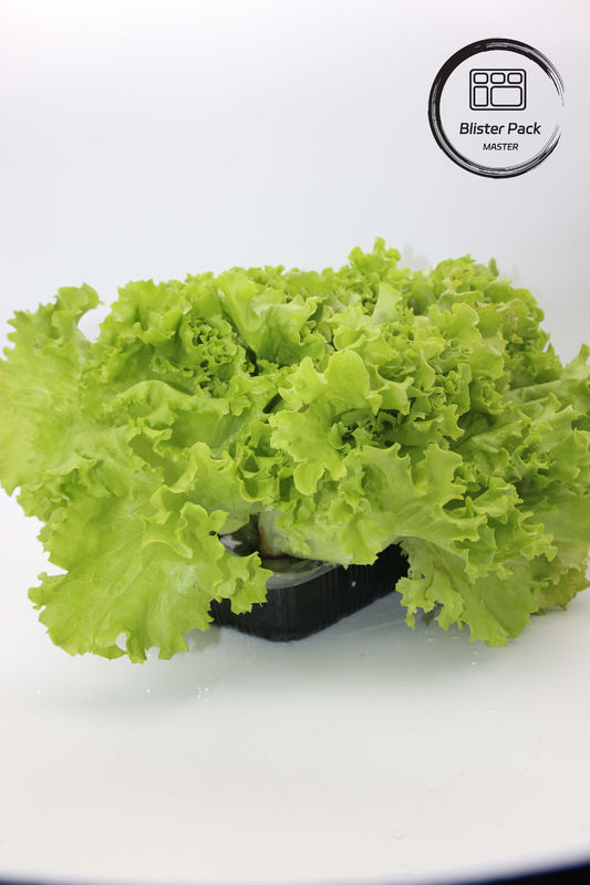 Artificial Garden Vegetables and Fruits Plastic Seedling Trays Perfect for Decoration