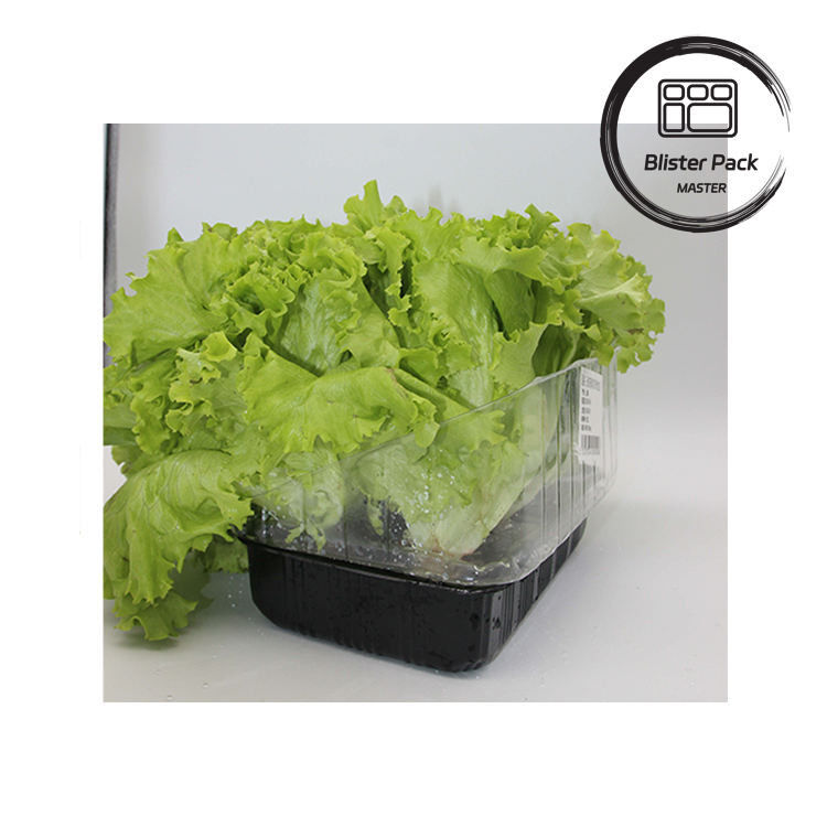 Artificial Garden Vegetables and Fruits Plastic Seedling Trays Perfect for Decoration