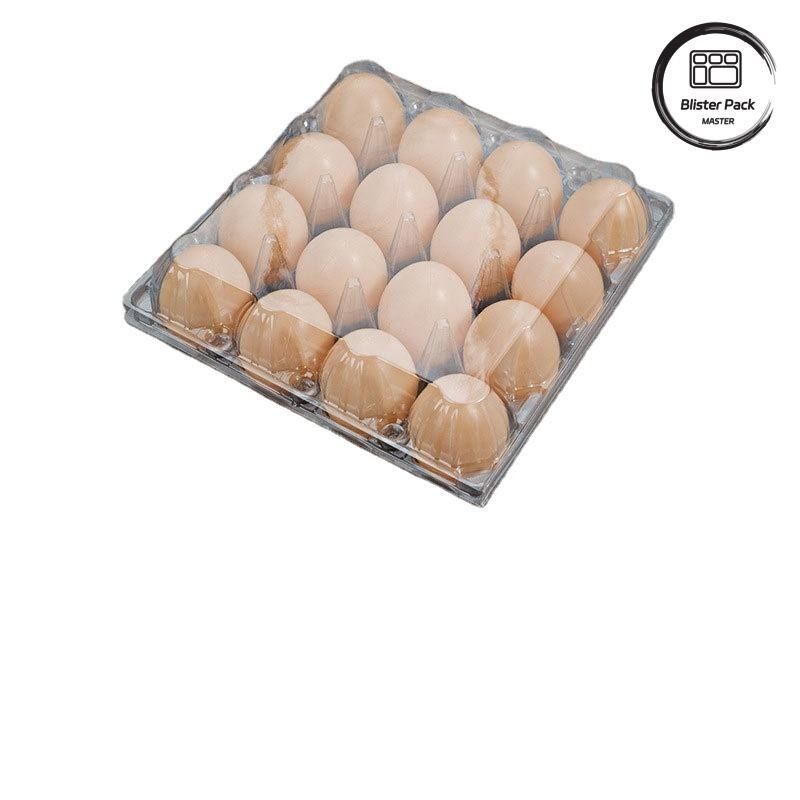 20/24/30 Cell PET Clear Plastic Egg Blister Tray Disposable Quail Chicken Egg Packaging with Lid