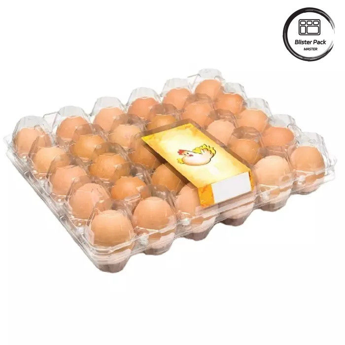 Customized Size PET Egg Blister Tray Disposable Vacuum Formed Plastic Trays