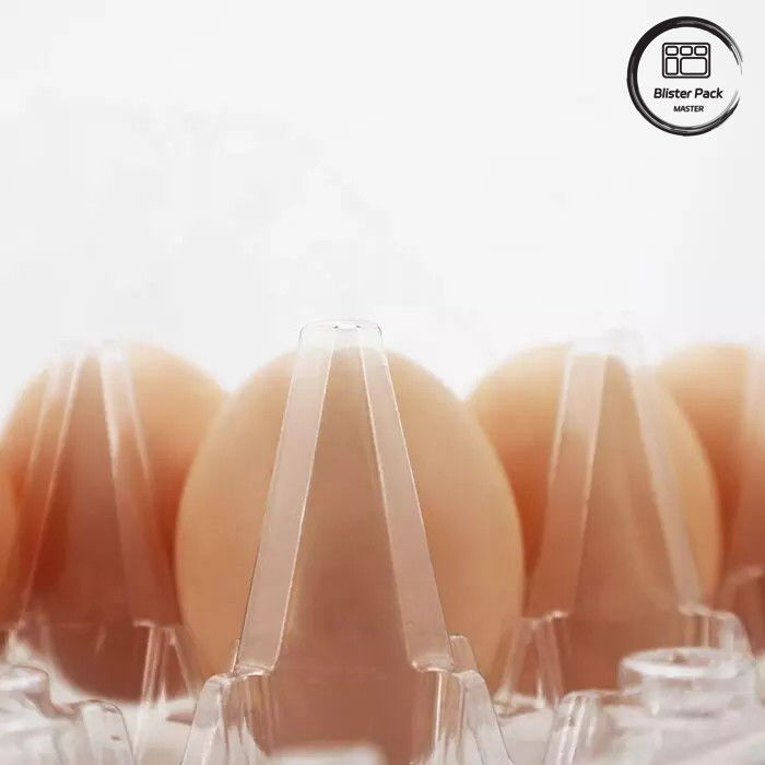 Customized Size PET Egg Blister Tray Disposable Vacuum Formed Plastic Trays