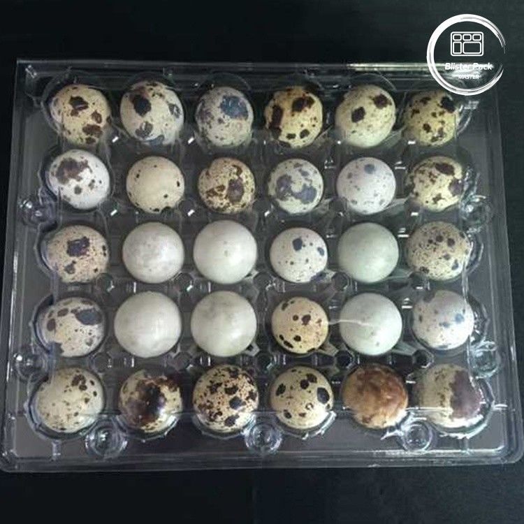 Clear Quail Egg Blister Tray With 30 Holes Affordable Bulk Egg Packaging