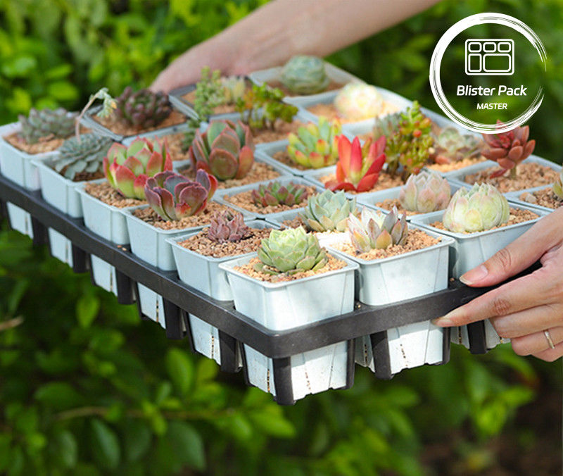 Durable Plastic Planter Tray 24 Hole Succulent Nursery Pot Cultivation Tray for Garden
