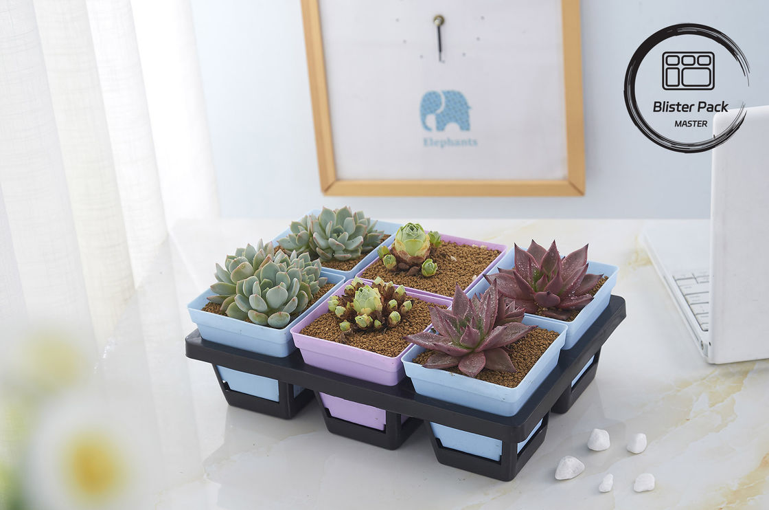 Multi Size Plastic Seedling Trays 6, 12, 20, 24, 40 Cells Durable for Gardening