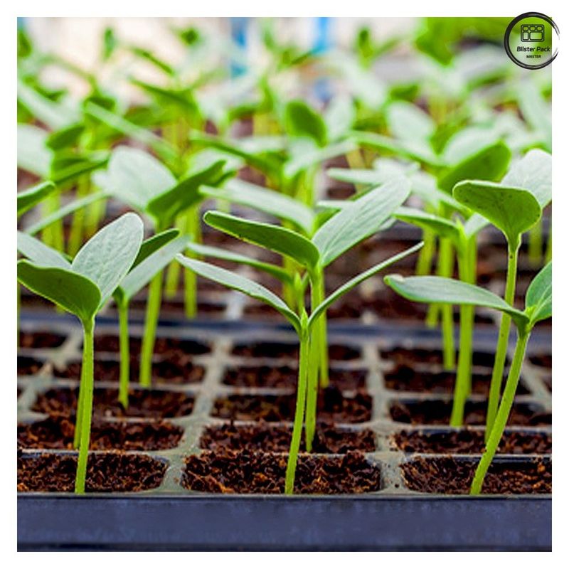 Durable Plug Seed Trays for Plant Propagation, 28/32/50/72/105/128/200/288 Cell Nursery Seedling Trays