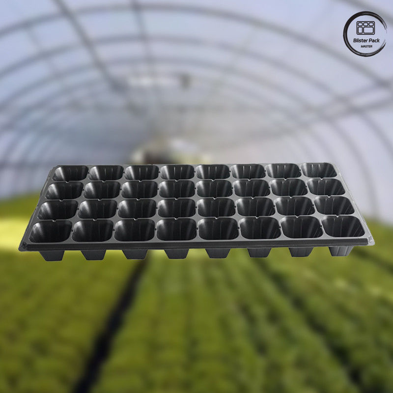 32/50/72/105/128/200 Cell PET Seedling Tray for Plant Germination, Vegetable Garden Seed Trays