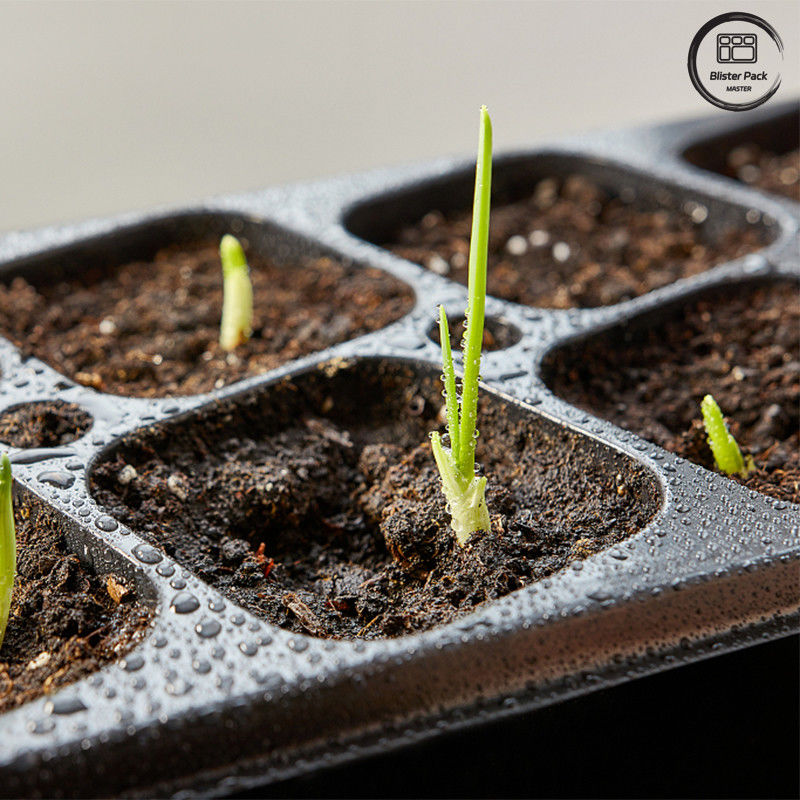 Black PS Garden Tree Planting Seedling Tray, 50-Cell Degradable Germination Tray for Nursery Use