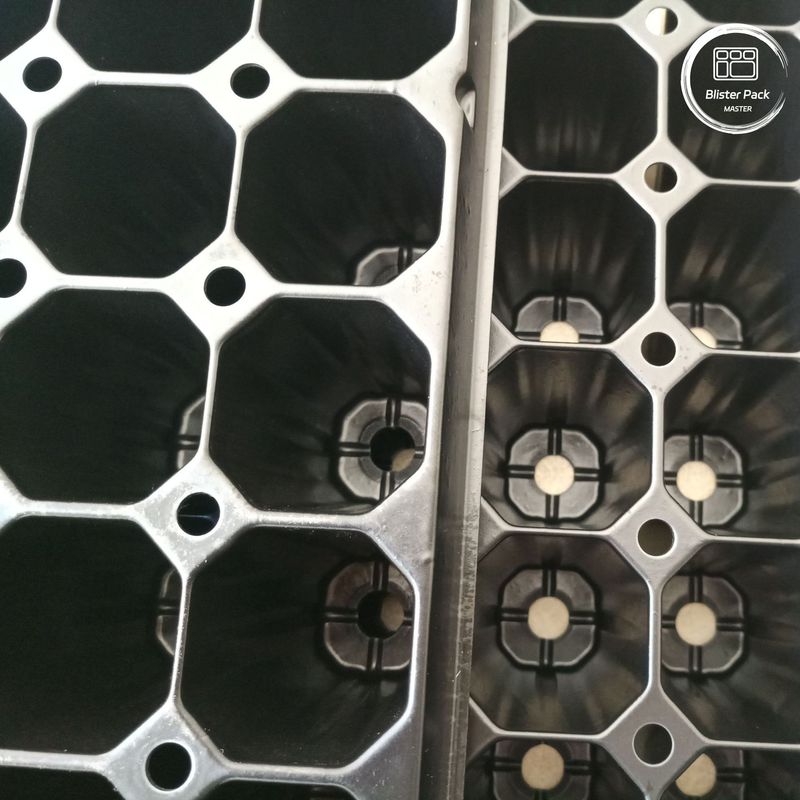 Wholesale 72-Cell Plug Seedling Tray, Durable Plastic Trays for Sprouting and Propagation