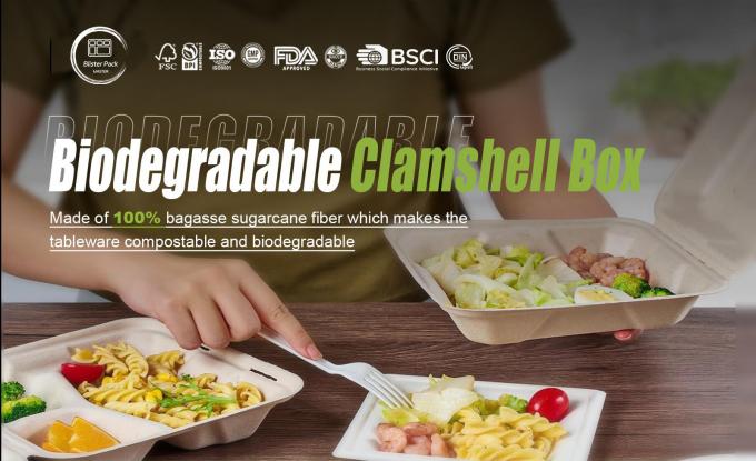 Eco Friendly Biodegradable Sugarcane Bagasse Clamshell Takeaway Food ...